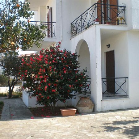 Karagiozos Studios & Apartments Skopelos Extérieur photo